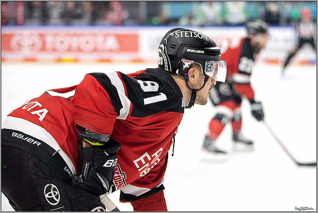 PENNY DEL; Koelner Haie- Bietigheim Steelers; Koeln, 19.11.2021